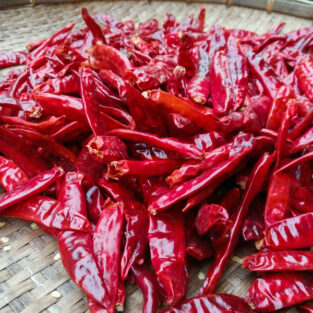 Dry-Red-chilli-1