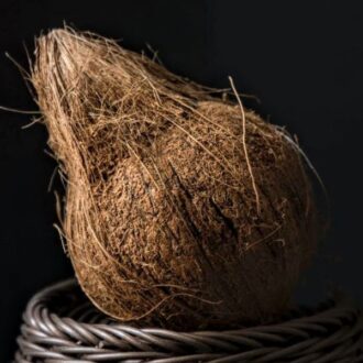 Coconut